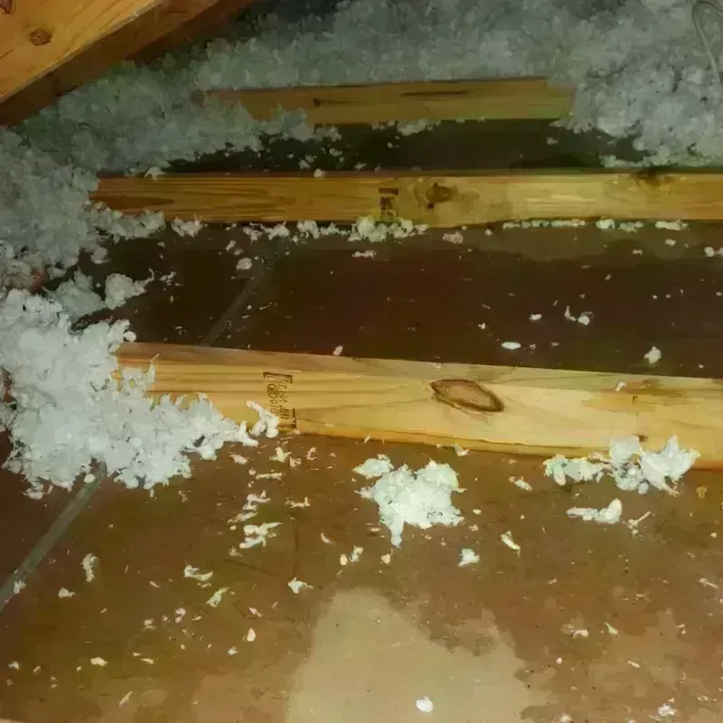 Attic Water Damage in Milford, IL