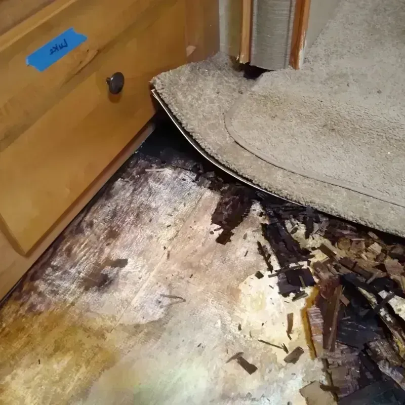 Wood Floor Water Damage in Milford, IL